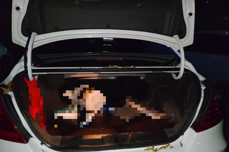 Used Geely Auto Emgrand New Energy 2017 EV300 Elite Model