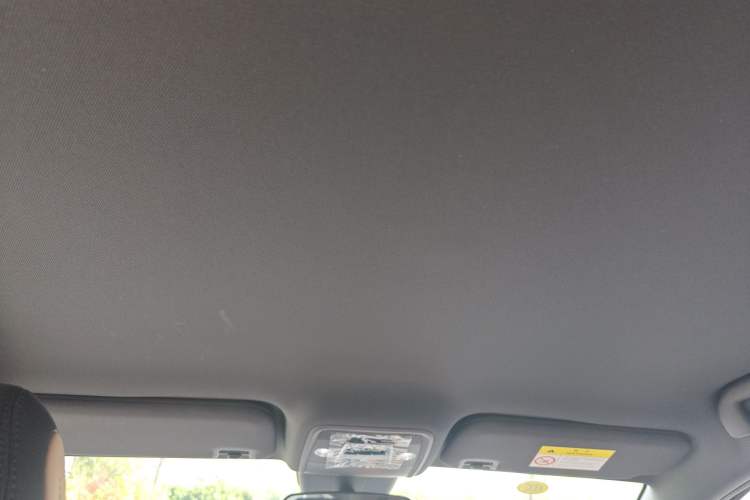 Used BYD Seagull 2025 Intelligent Driving Version 305 km Dynamic Edition Headliner