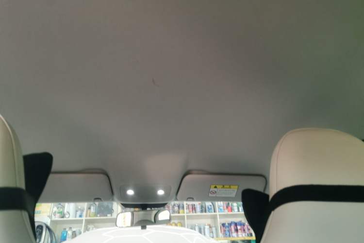 Used Leapmotor T03 2023 310 Lite Edition Headliner