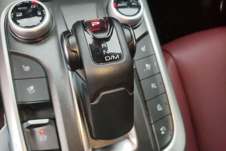 Used Tank 300 2024 2.0T Crosser