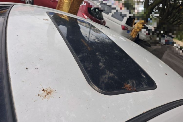 Used Geely Auto Emgrand 2015 Sedan 1.5L Manual - Top Trim Level
