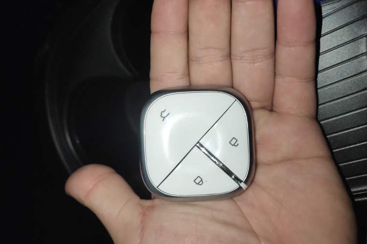 Used Baojun Cloud 2023 460 Plus Operational Exclusive Edition
