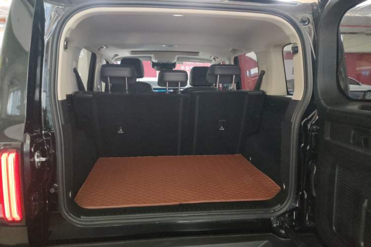 Used Tank 300 2024 2.0T Conqueror