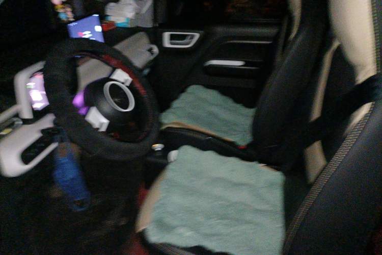 Used Wuling Hongguang MINIEV 2024 3rd Generation 215km Youth Edition
