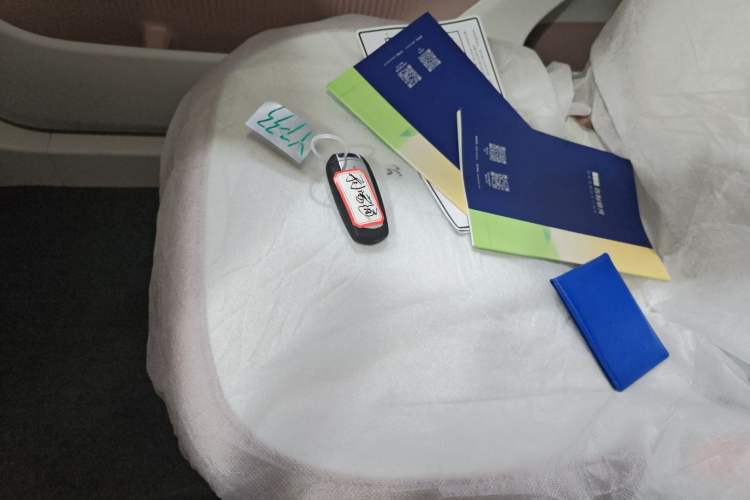 Used Geely Galaxy Panda 2025 210 km – Yuanqi Bear