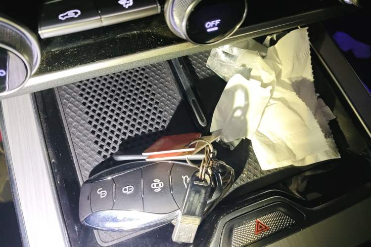 Used Hongqi HS5 2025 2.0T Two-Wheel Drive Flagship Pro Edition
