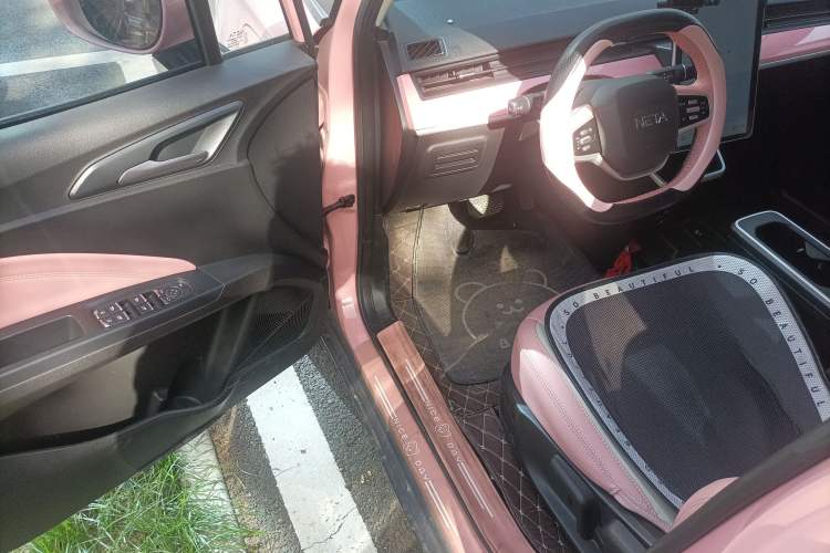 Used NETA V 2021 Witch Edition