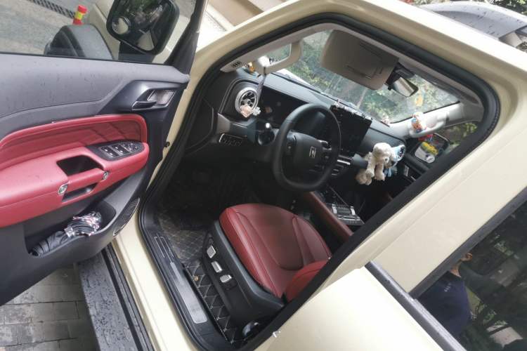 Used Tank 300 2025 2.0T Conqueror Driver Seat