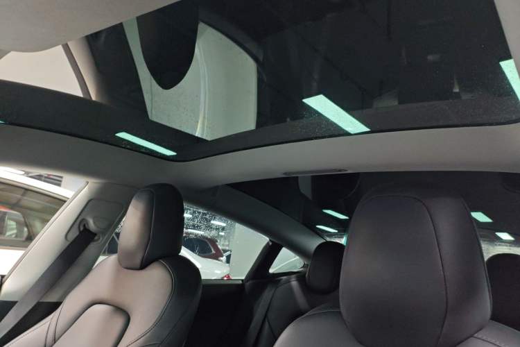 Used Tesla Model 3 (Import) 2019 Long-Range Rear-Wheel-Drive Version