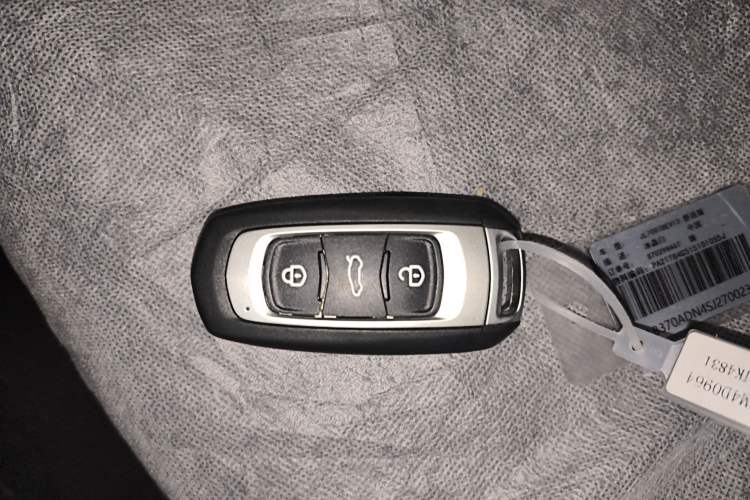 Used Geely Galaxy Panda 2024 Panda Mini 200km Endurance Bear
