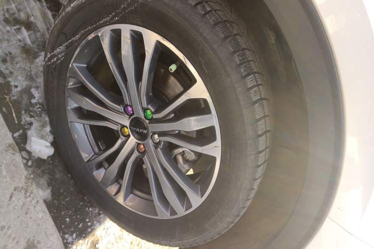 Used Haval F7 2021 2.0T Two-Wheel Drive i-Van
