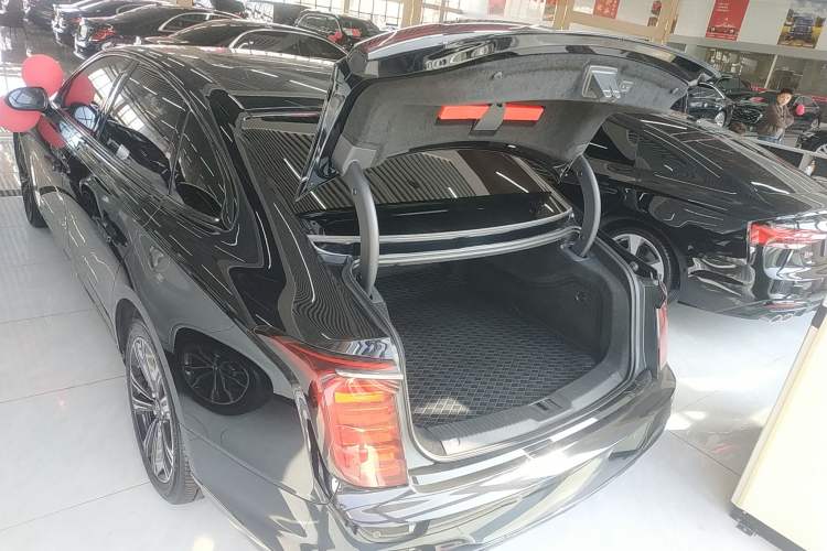 Used Hongqi H9 2024 2.0T Qixiang Private Style Edition