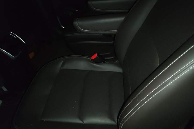 Used Livan Maple 80V 