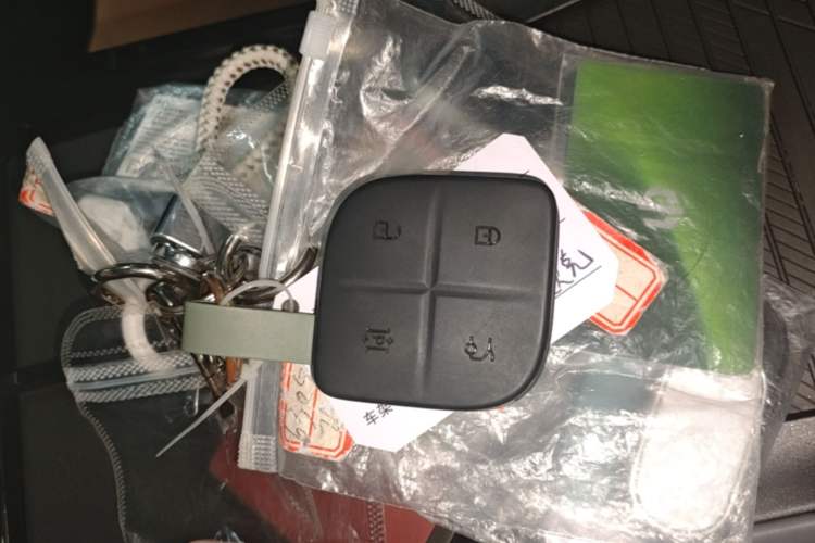 Used Lynk & Co 08 EM-P 2025 120km Long-Range Plus