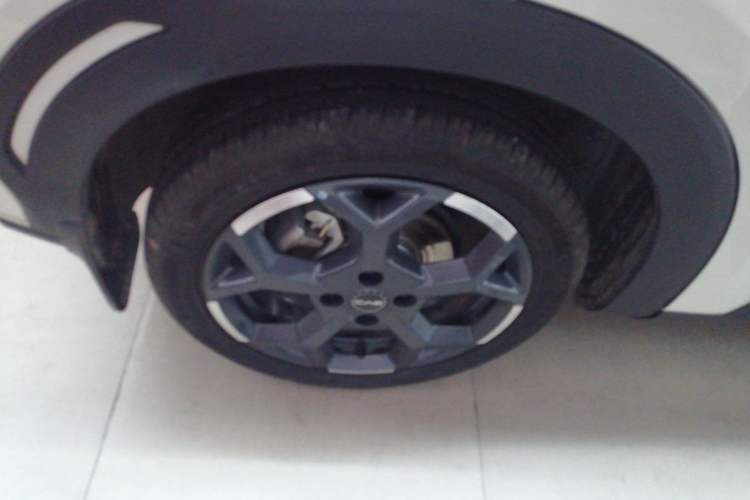 Used BYD Seagull 2025 305 km Free Version
