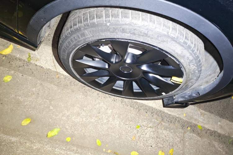 Used Tesla Model Y 2021 Standard Range Rear-Wheel Drive Version