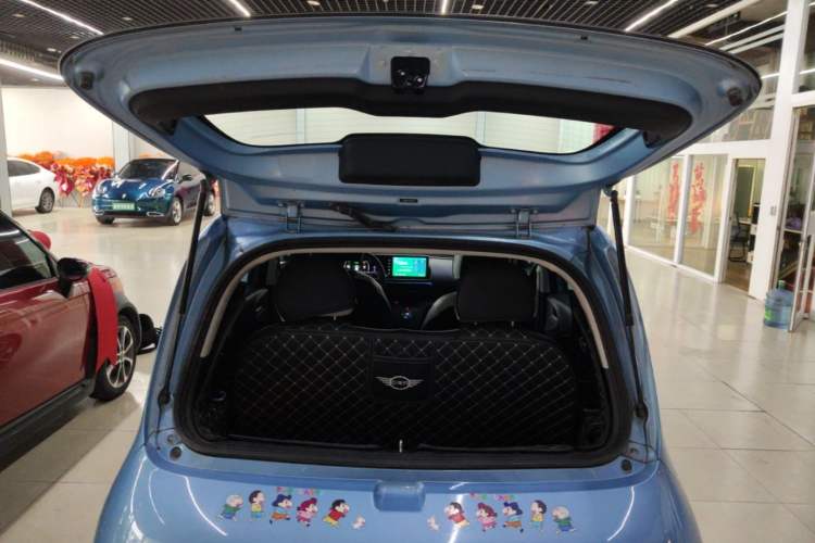 Used ORA White Cat 2020 305 km Luxury Version
