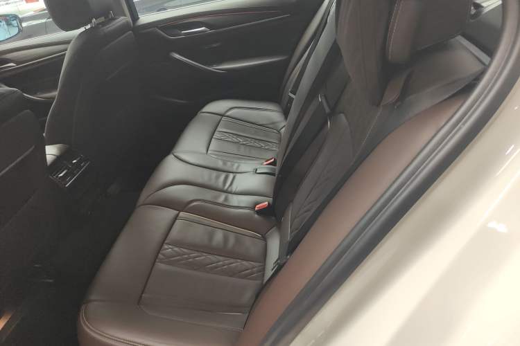 Used BMW 5 Series 2020 530Li Leading Edition Luxury Package
