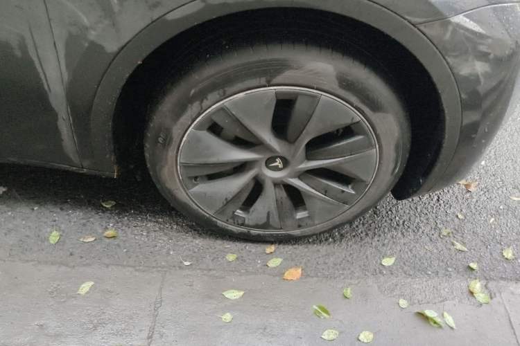 Used Tesla Model Y 2024 Rear-Wheel-Drive Version