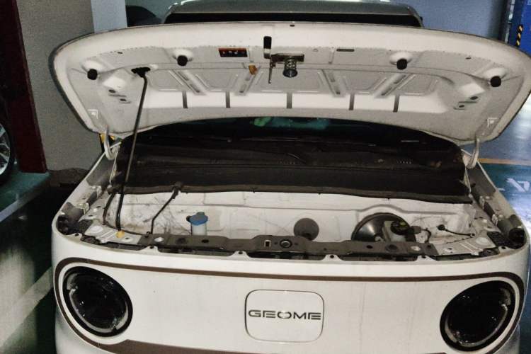 Used Geely Galaxy Panda 2023 Panda Mini 200km Endurance Bear