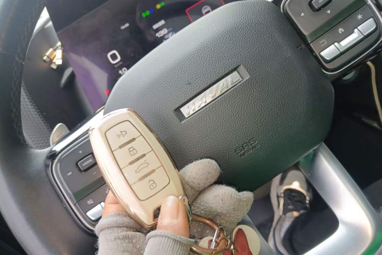 Used Haval DARGO 2021 1.5T DCT Two-Wheel Drive "Wangcai" Edition
