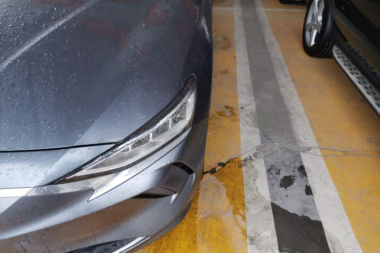 Used Hyundai Lafesta Electric 2020 DLX Enjoyment Edition
