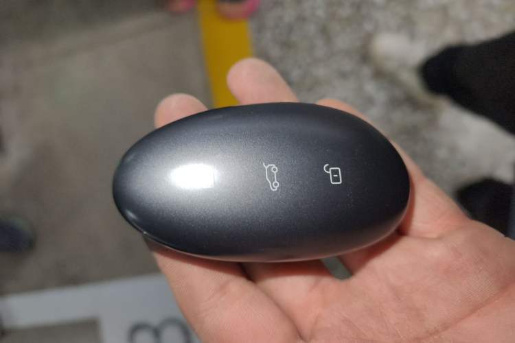 Used Rising R7 2022 Flagship Advanced Edition
