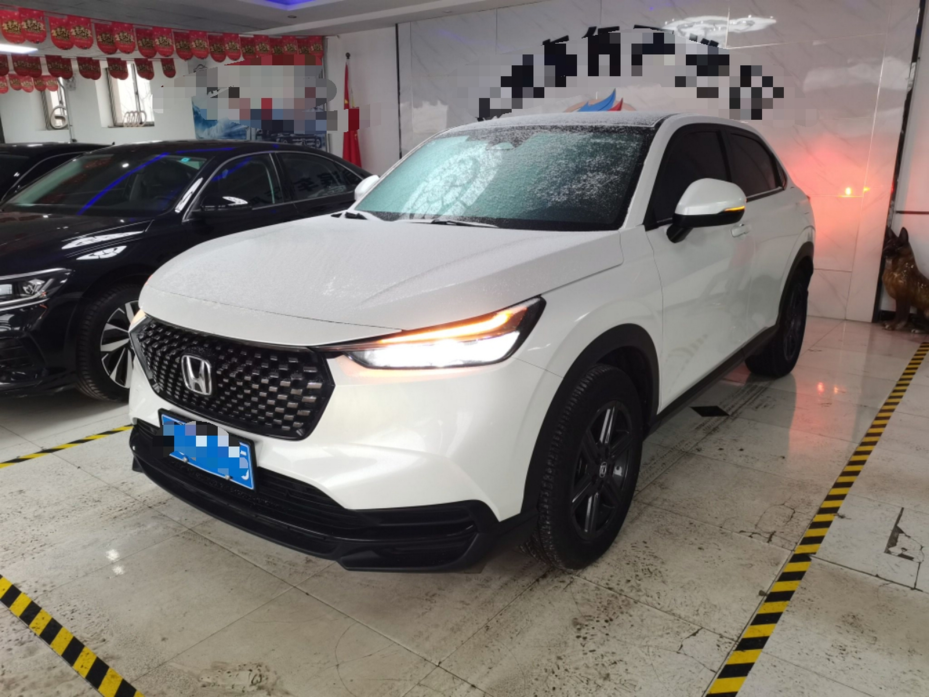 تحت مقدمة السيارة