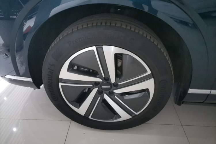 Used Wey Lanshan 2025 Four-Wheel Drive Max Exterior 4