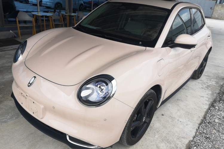 Used ORA Good Cat GT 2024 Mulan Edition 401 km Range Luxury Version 126 kW