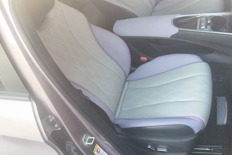 Used BYD Dolphin 2023 420 km Fashion Edition Right Front Seat