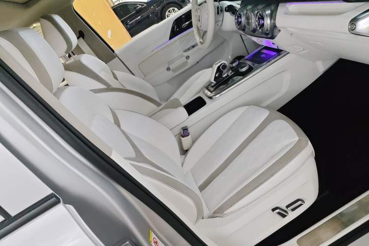 Used Cyberspace Tank 300 2021 2.0T Cyber Tank
