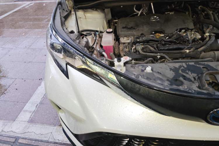 Used Toyota Granvia 2023 2.5L Hybrid Comfort Edition Right Front Headlight