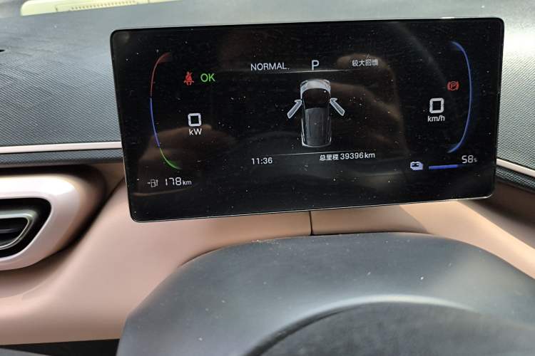 Used BYD Seagull 2025 305 km Free Version Odometer Close Up