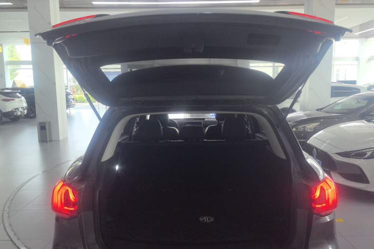 Used MG Pilot 2021 300TGI Automatic Two-Wheel Drive Fuel-Efficient Luxury Edition
