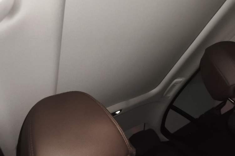 Used BMW 3 Series 2020 325Li First Edition Headliner