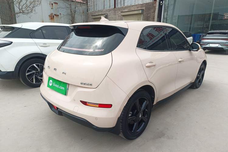 Used ORA Good Cat 2024 501 km Luxury Version Rear Right 45 Deg