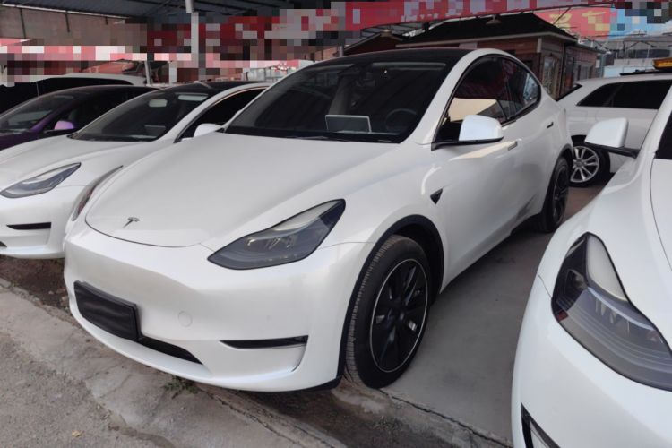 Used Tesla Model Y 2021 Standard Range Rear-Wheel Drive Version