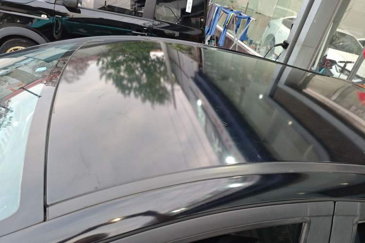 Used SOL E10X 2022 Flower Fairy Design Four-Leaf Clover Roof