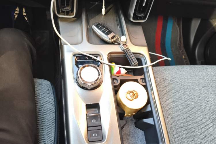 Used Haval DARGO 2024 2.0T DCT Chinese Rural Dog Edition