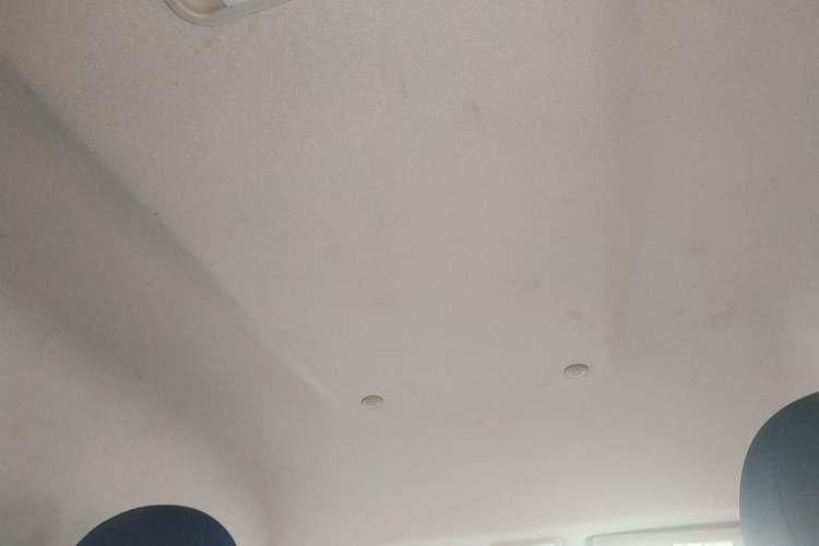 Used FORTHING Lingzhi 2019 M5 1.6L 7-Seater Base Model China VI
