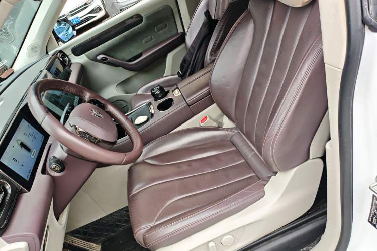 Used Leapmotor C11 2021 Zhixing Edition 510