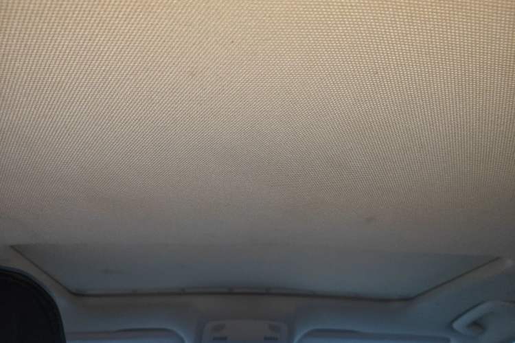 Used Audi A4L 2009 2.0 TFSI Standard Model Headliner