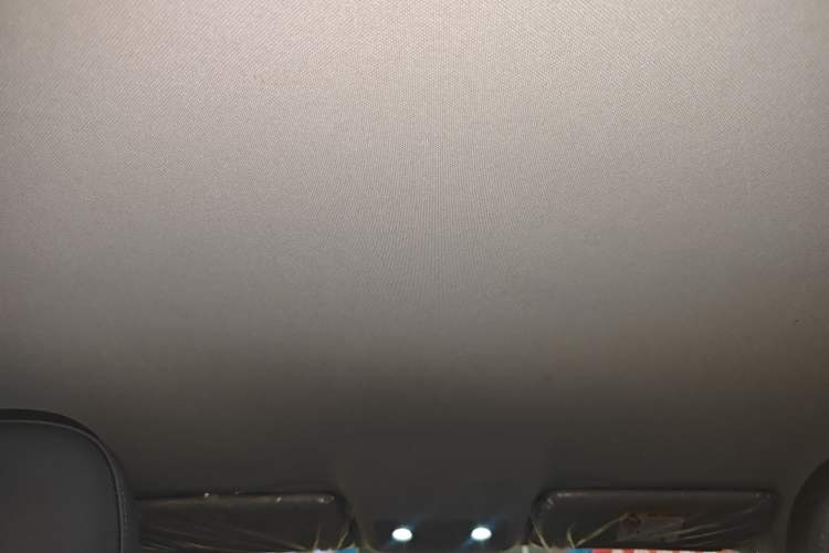 Used Leapmotor T03 2024 403 Comfort Edition Headliner