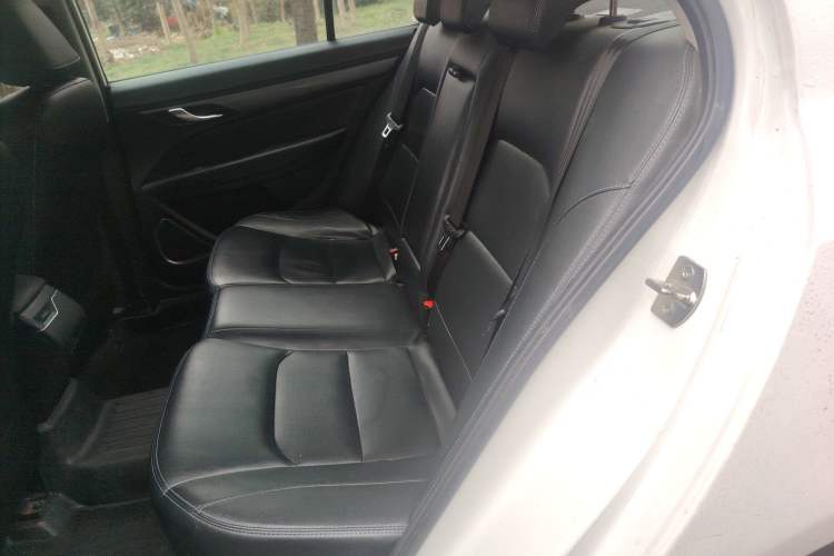 Used Geely Auto Emgrand New Energy 2019 EV500 Ambition Standard Range Edition Left Rear Seat