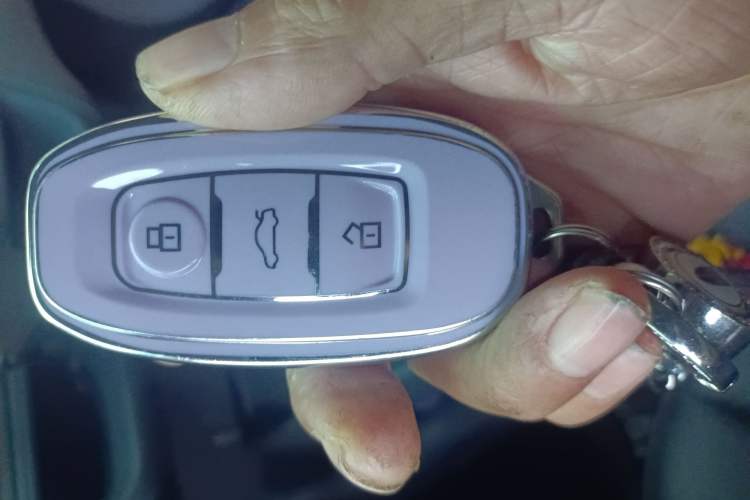 Used Hongqi E-QM5 2022 431 km Charge & Enjoy Edition Vehicle Key