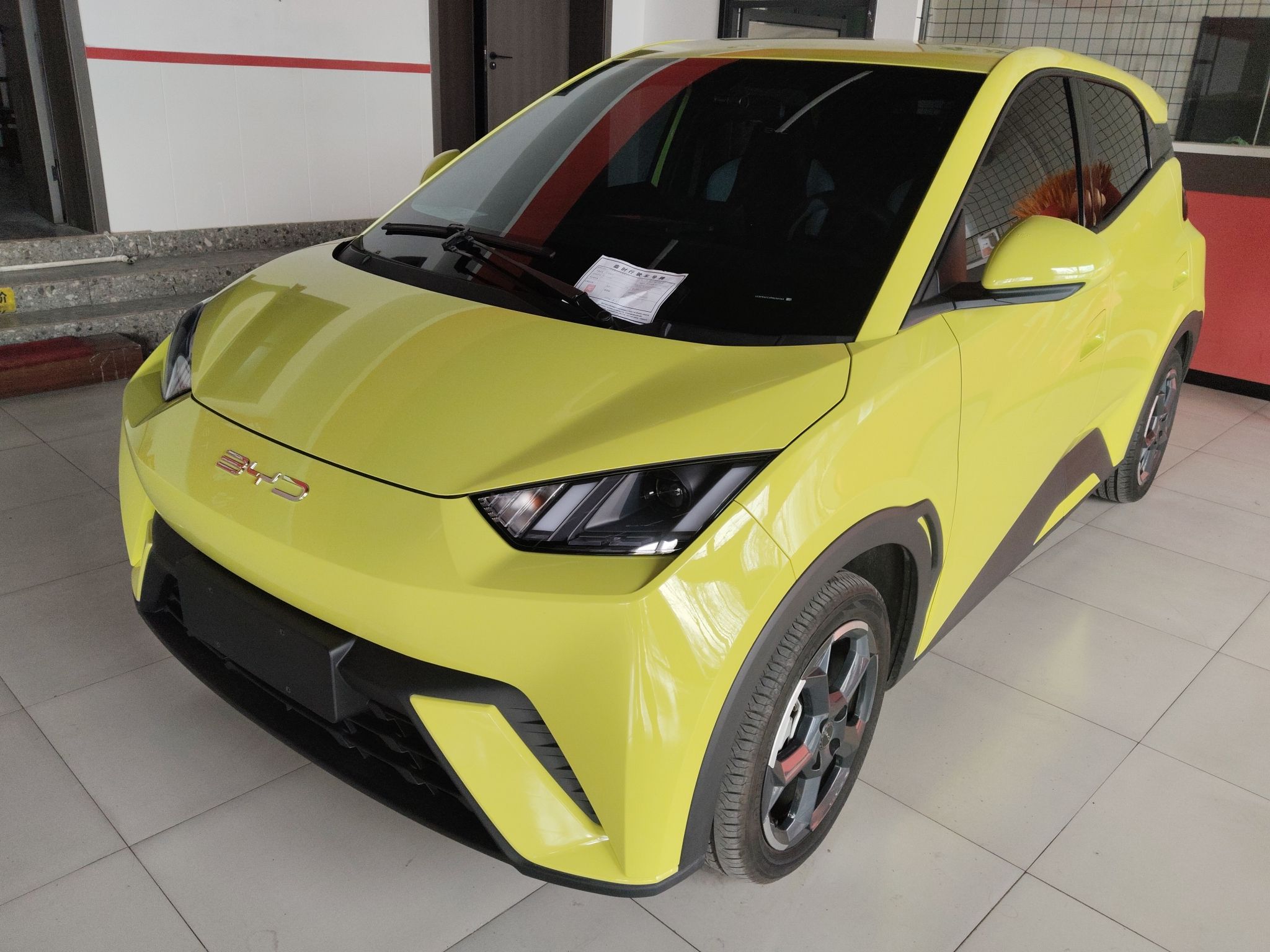 تحت مقدمة السيارة