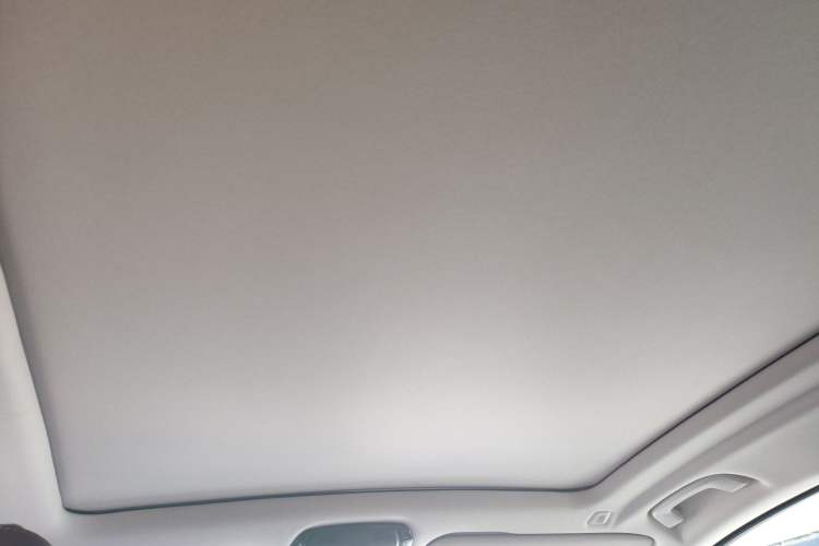 Used BMW X5 New Energy 2021 xDrive45e M Sport Package Headliner