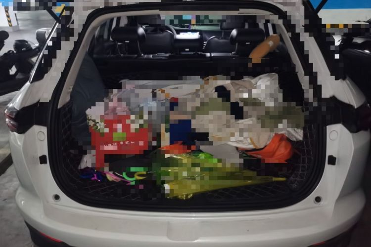 Used Changan CS55PLUS 2020 1.5T Automatic Colorful Model