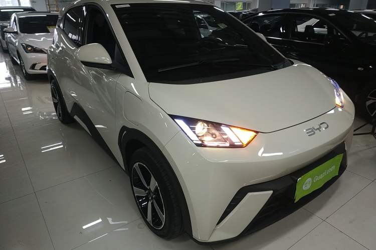 Used BYD Seagull 2023 Active Version Exterior 1